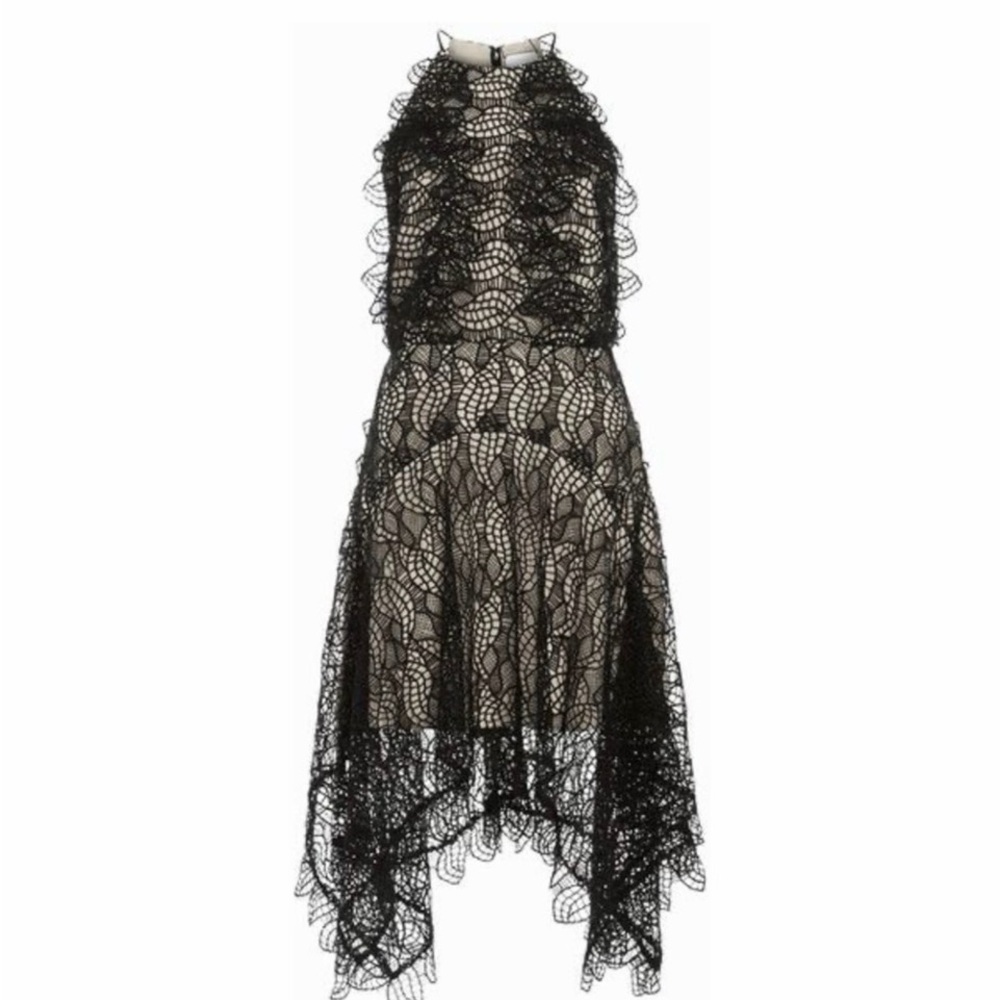 Acler Burton Lace Dress-AU 10, US 6 New With Tags - Picture 3 of 5